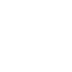 P Terrys