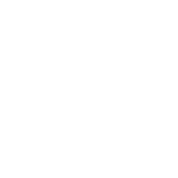 Chicon