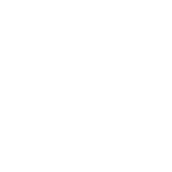 DJI